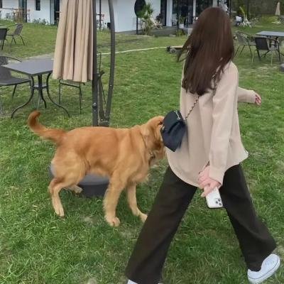 长辈